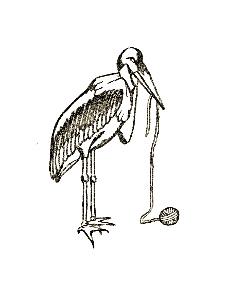 Maribu Stork