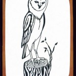Barn Owl card