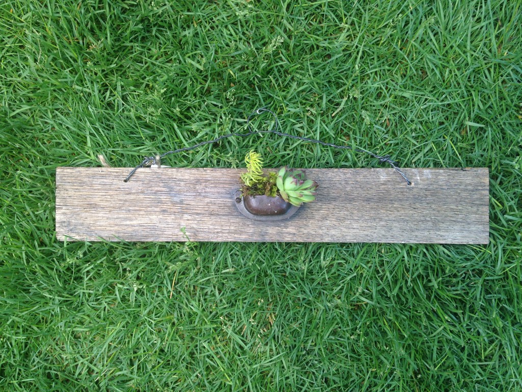 Drawer handle succulent planter