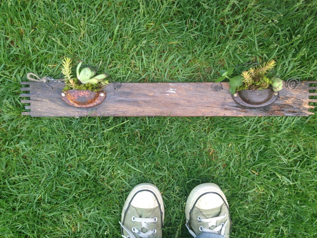 Drawer handle succulent planter