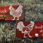 Cluck and Doodle Doo