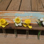 Test tube flower holder (4)