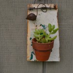 Succulent holder