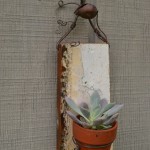 Succulent holder