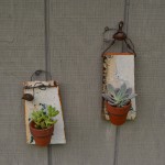 Succulent holders