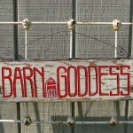 Barn Goddess