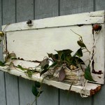 Fold Up Shelf