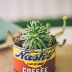 Succulent centerpiece in vintage coffee can